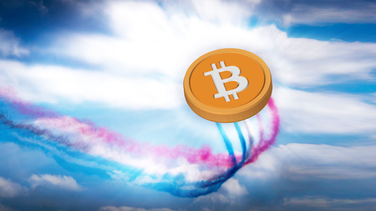 Bitwise CEO Analyzes Impact Of Bitcoin's 2024 Halving On Market ...