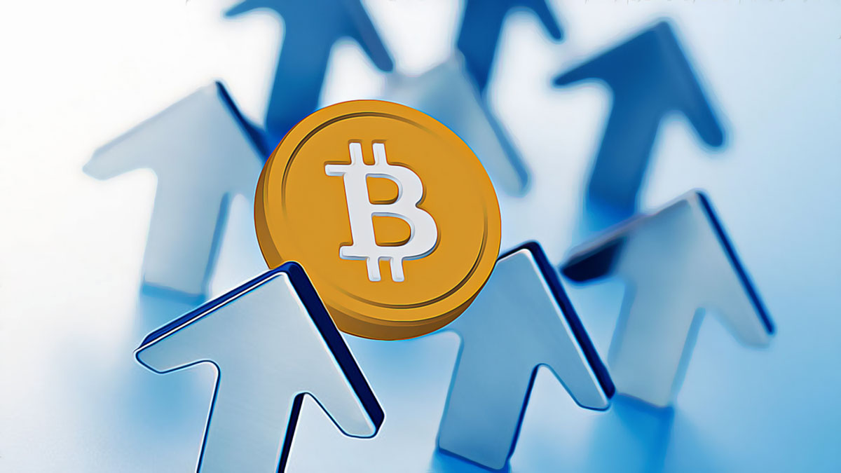 Examining Bitcoin’s Market Trends and Potential Decline Predictions