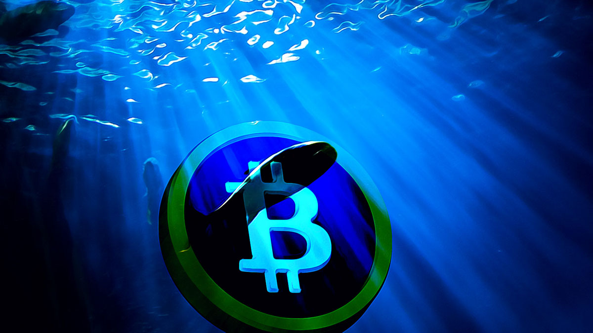 PayPal Spearheads Eco-Friendly Bitcoin Mining Initiative