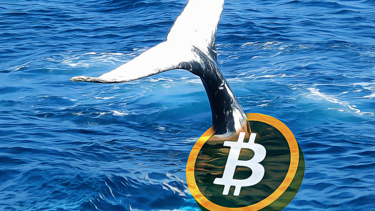 bitcoin-news-302-1.jpg