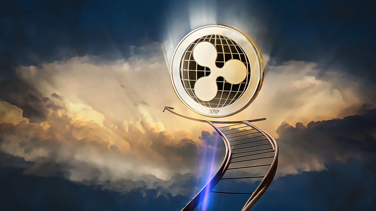 Ripple Battles SEC Claims and Impact on XRP Coin’s Market Value