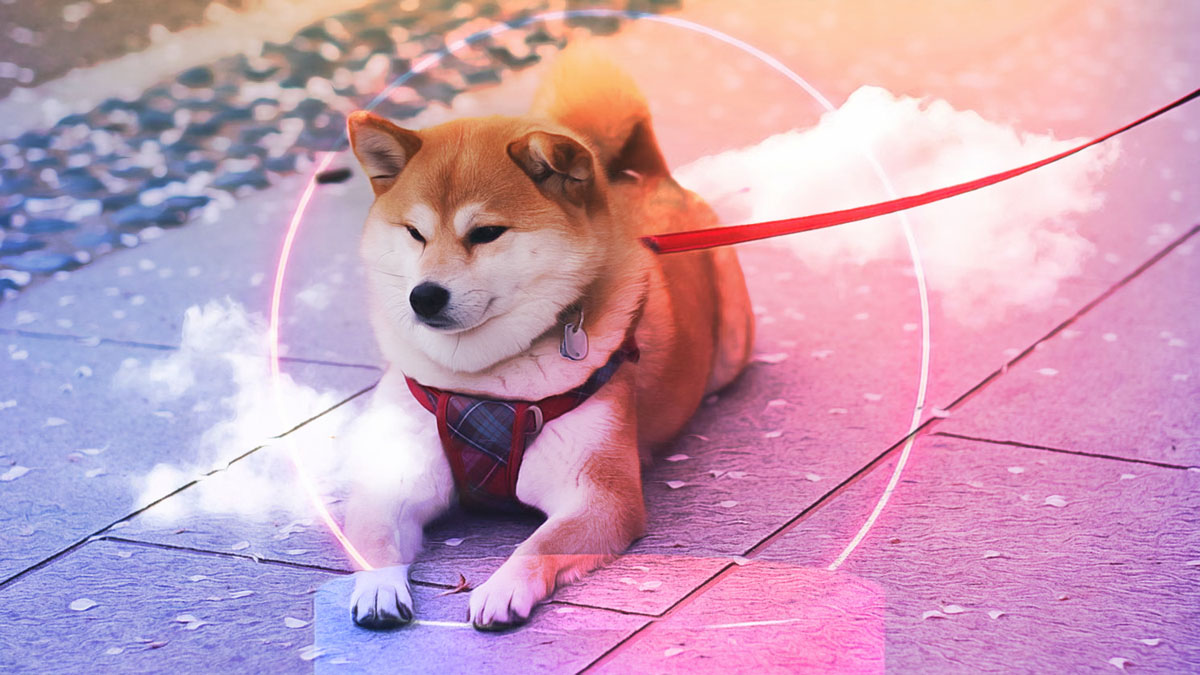 Shiba Inu Token Gears Up for Potential Uptick as Market Sentiment Shifts