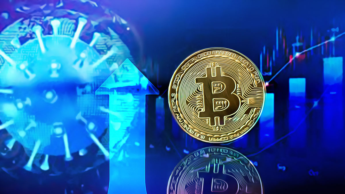 Analysts Predict Bitcoin Peaks with USDT