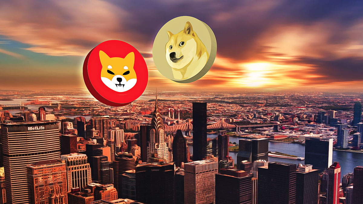 Shiba Inu and Dogecoin Face Declines