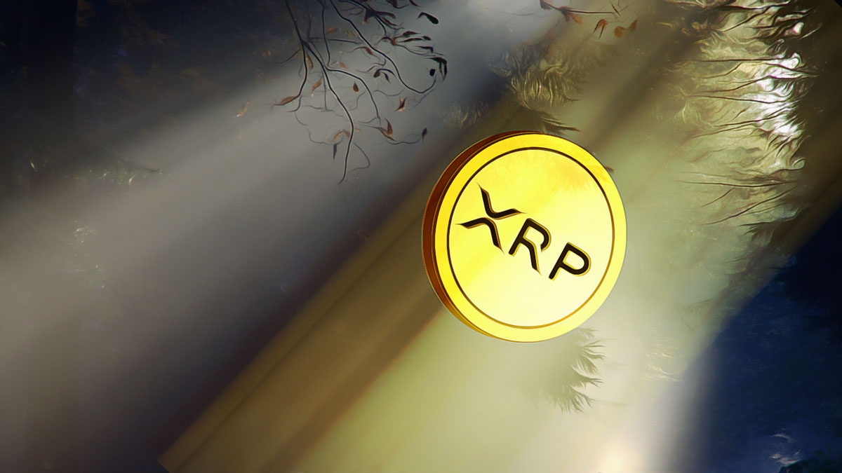 Whale Activities Drive XRP Price Surge