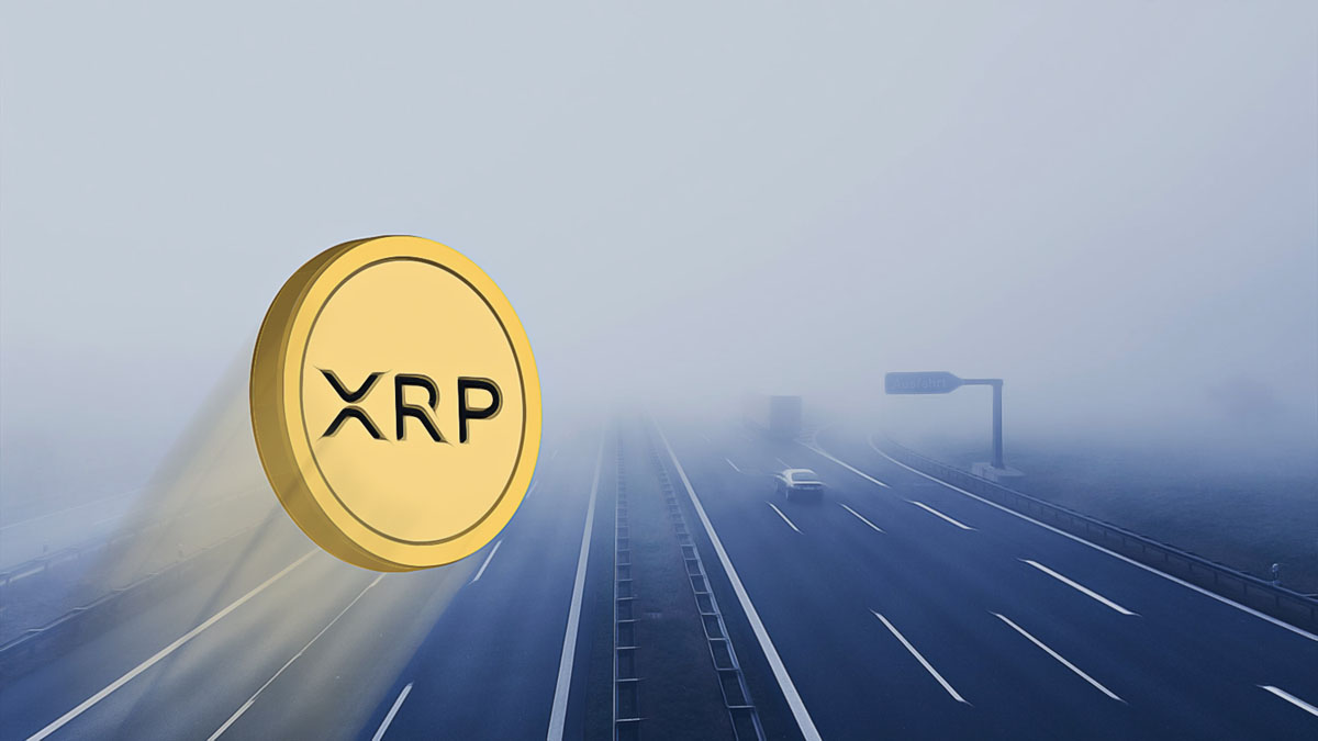 XRP Price Rises by 50%