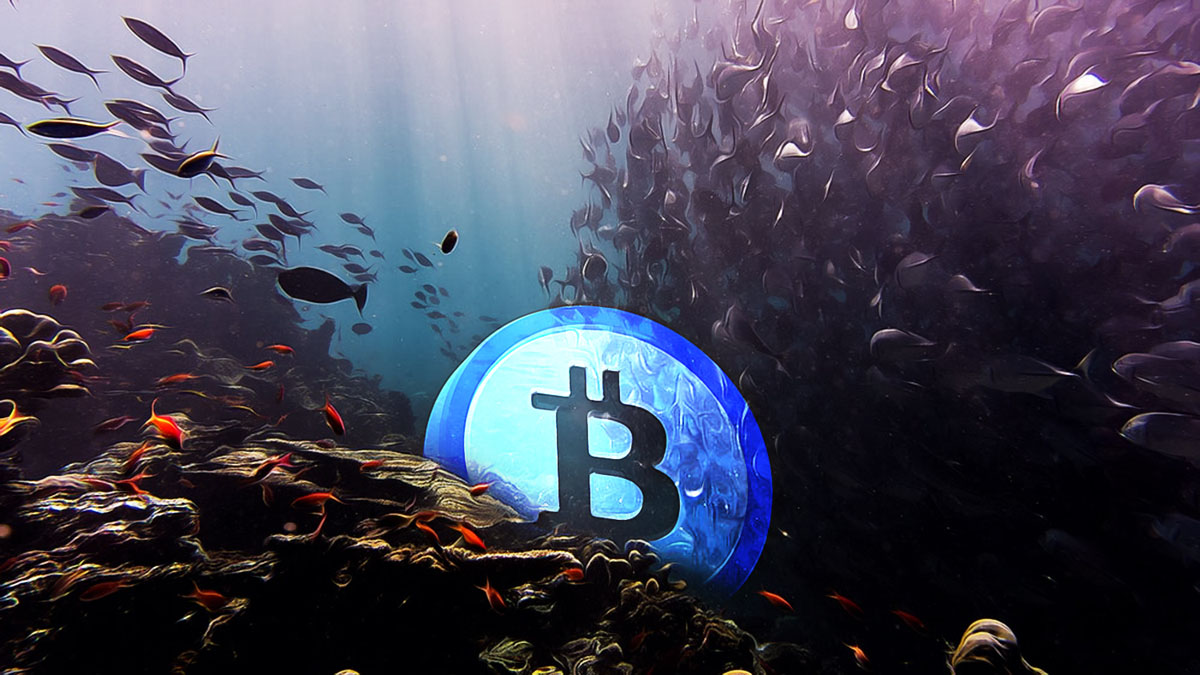 Fathom Holdings Embraces Bitcoin for Future Growth