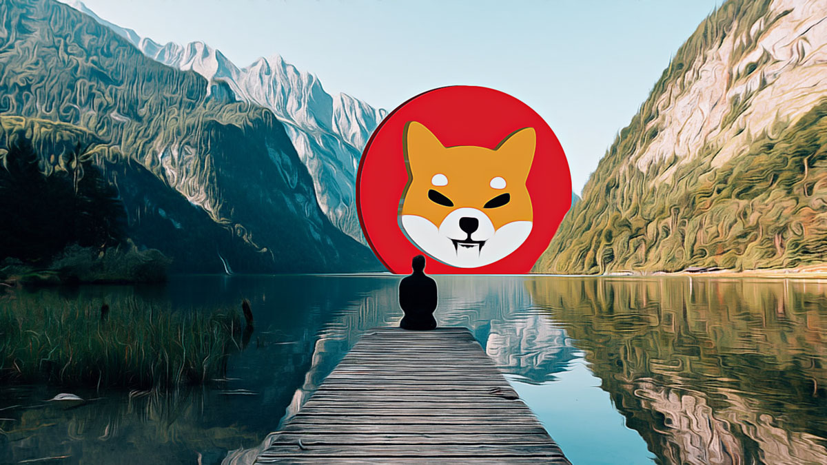 Shiba Inu Coin Teases Major Upcoming Changes logo