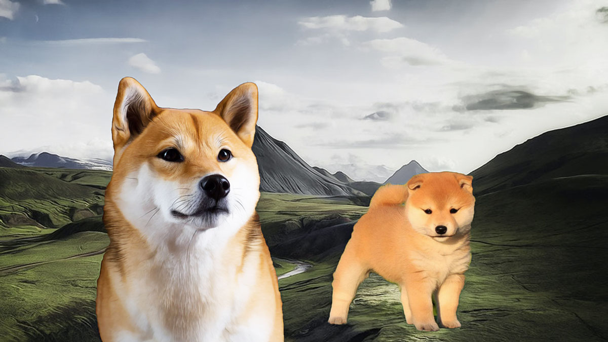 Why Are Dogecoin and Shiba Inu Prices Dropping? logo