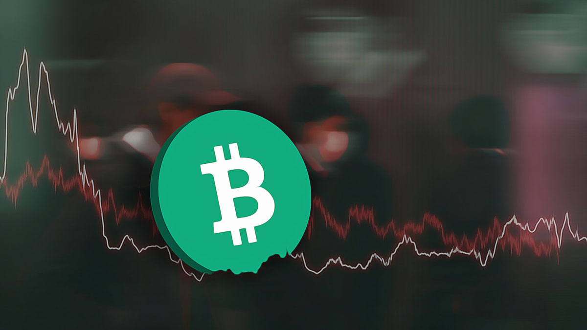 Will Bitcoin Recover from Recent Market Drop?