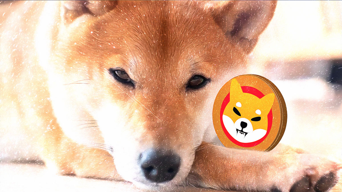 Can Shiba Inu Token Burns Boost Prices?