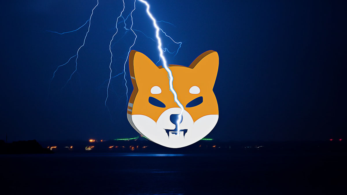 Shiba Inu Coin Surges After Dramatic Decline