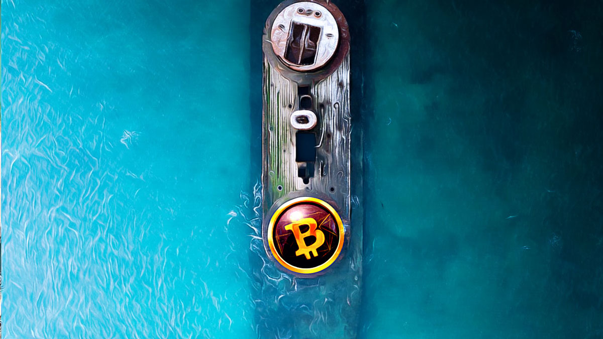 Strategic Moves in the Face of Crypto Market Fluctuations