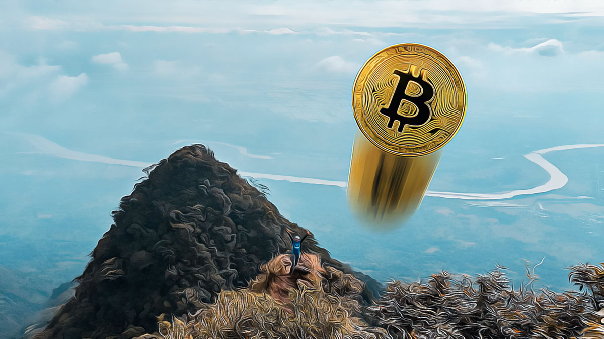 CryptoAppsy: Your Instant Companion for Real-Time Market Data