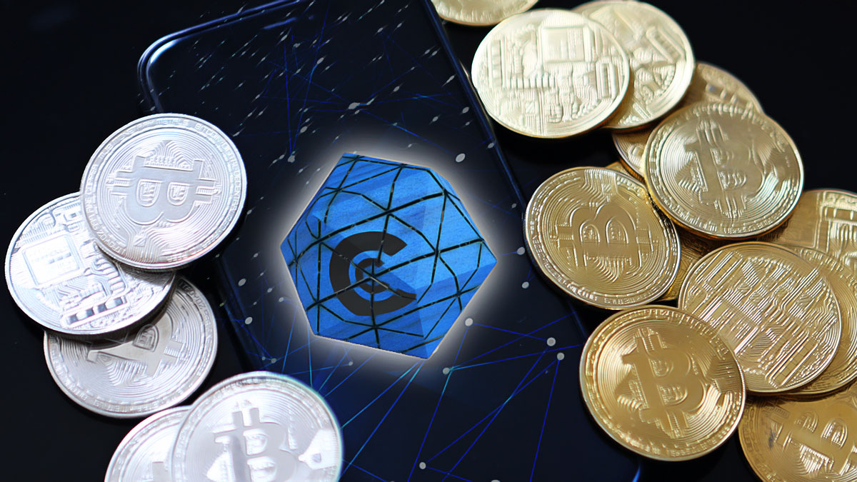 Crypto Ventures Rise Despite Market Instability