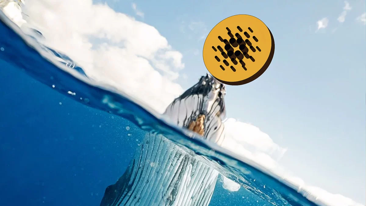 Will Cardanoβs Price Slide Continue Amid User Activity Boom?