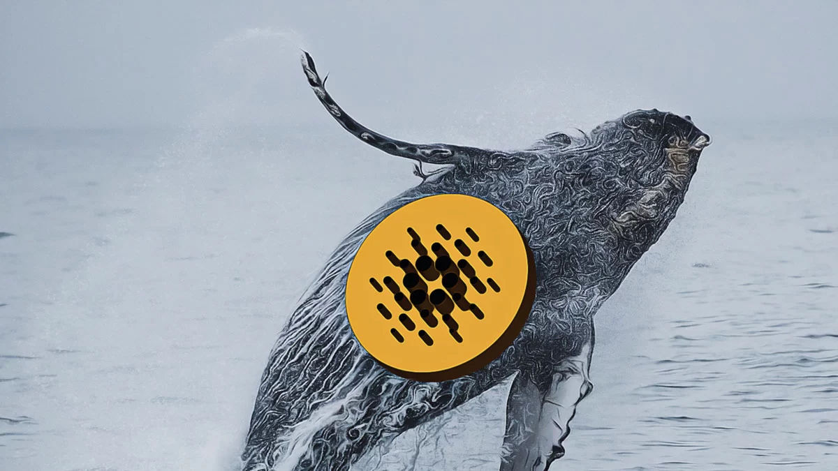 Cardano’s New Era Driven by Collective Decision Making