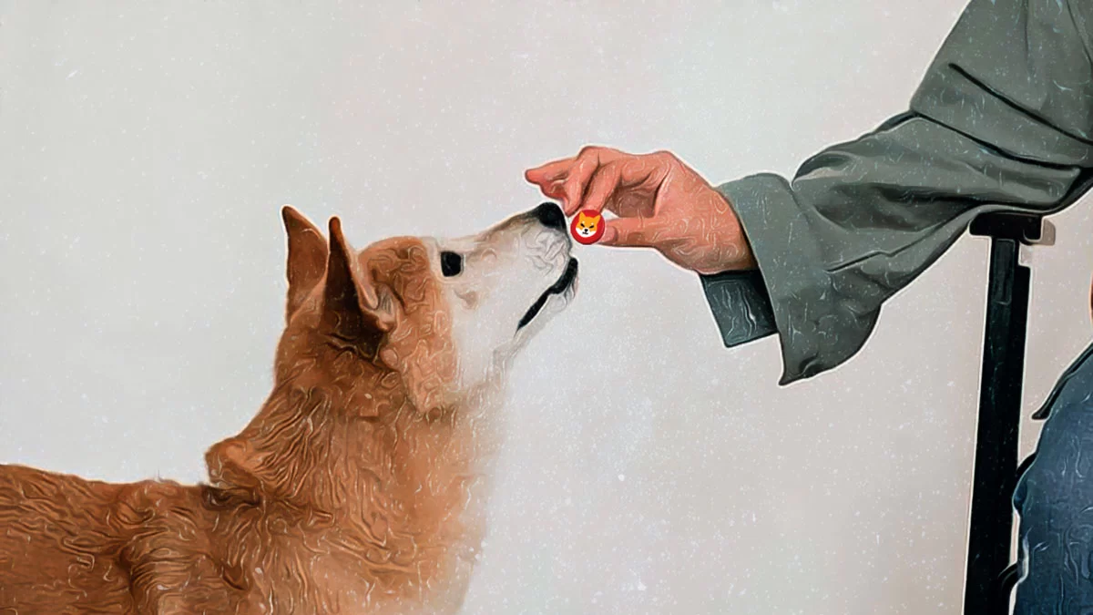 Shiba Inu Captures Attention with New Wallet Surge