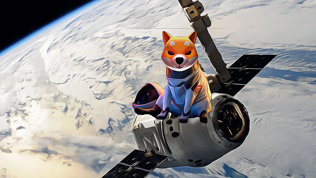 Shiba Inu Tokens Withdrawn En Masse from Exchanges: What Does It Mean?