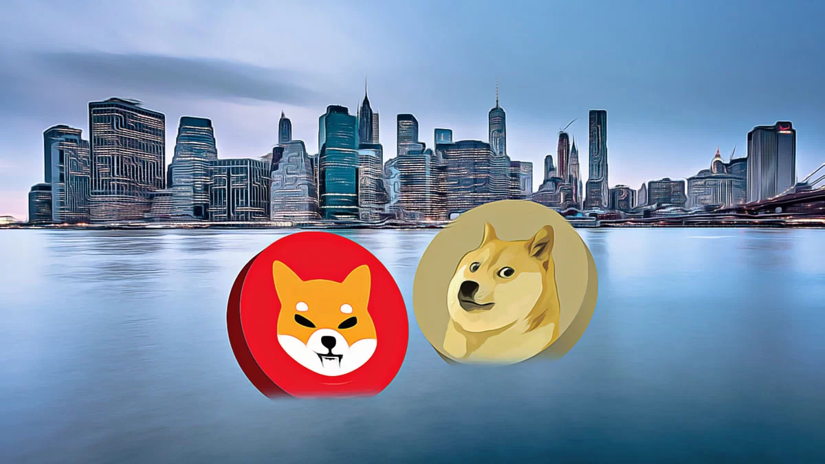 Shiba Inu’s Market Moves: Token Withdrawal Sparks Interest