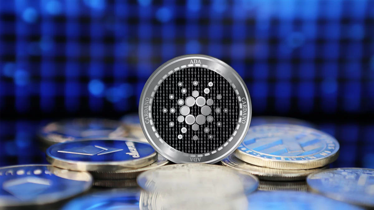 Challenges Besiege a Leading Platform for Cardano Analytics