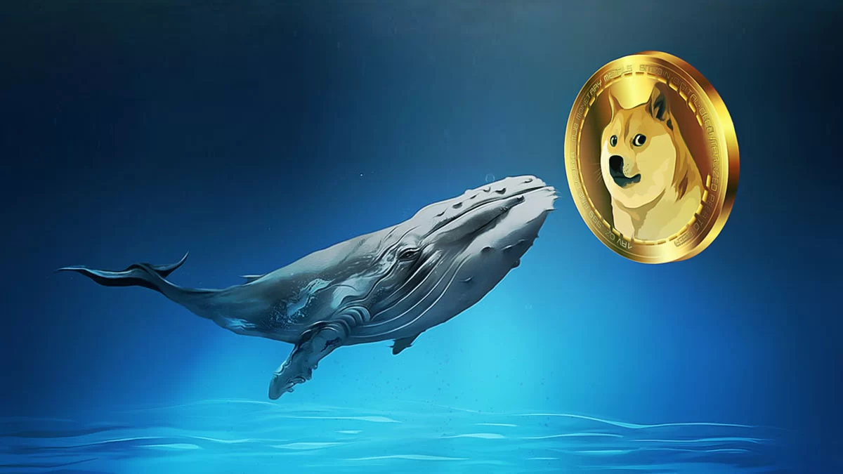 Dogecoin’s Long-Term Price Outlook: What Can We Expect?