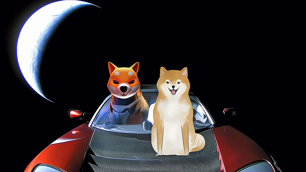 Dogecoin’s Market Climate Shifts: What Could Be Next?