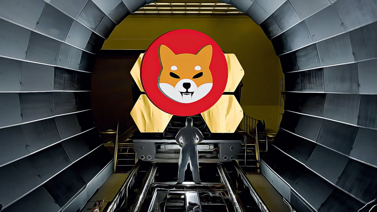 Shiba Inu: A New Wave of Accumulation and Market Dynamics