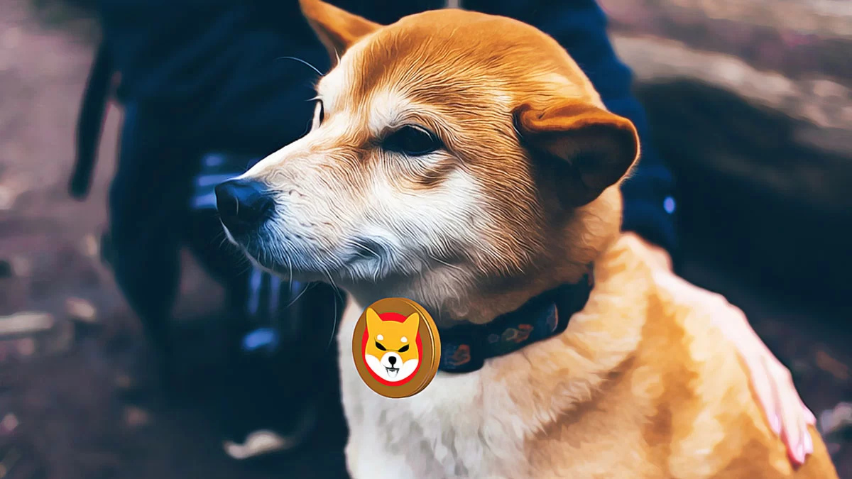 Shiba Inu Burn Rates Decline Amid Market Challenges