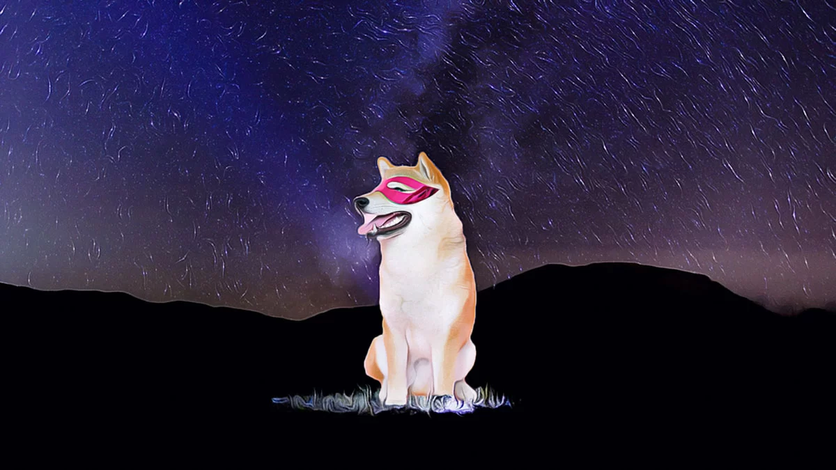 Shiba Inu Tokens Leave Exchanges: What’s Next?