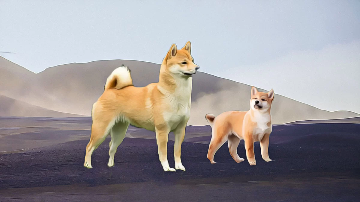 Challenging Times Ahead for Shiba Inu: Market Optimism Fades
