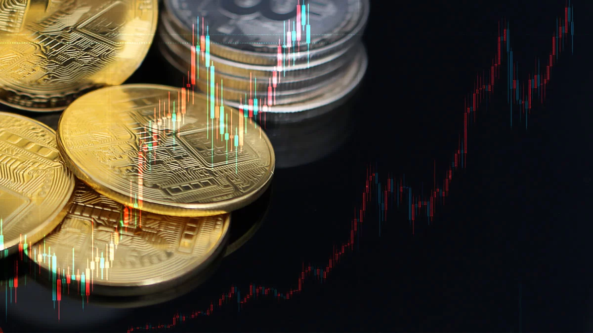 Stellar Cryptocurrency: A Gateway to Elite Holder Status