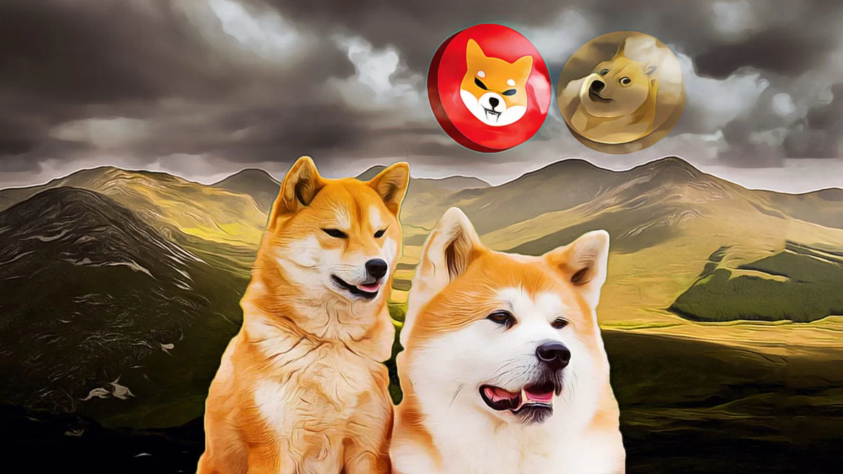 Significant DOGE Accumulation Sparks Positive Market Tendencies