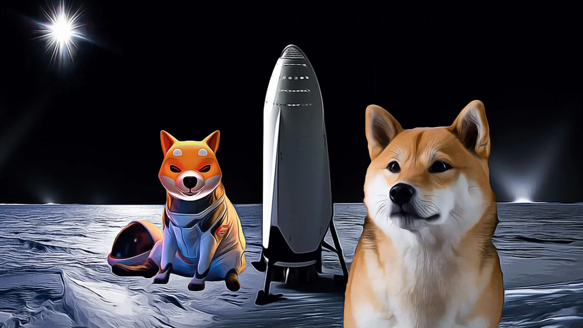 Shiba Inu Hits Decisive Price Zone: What’s Next for the Popular Meme Coin?