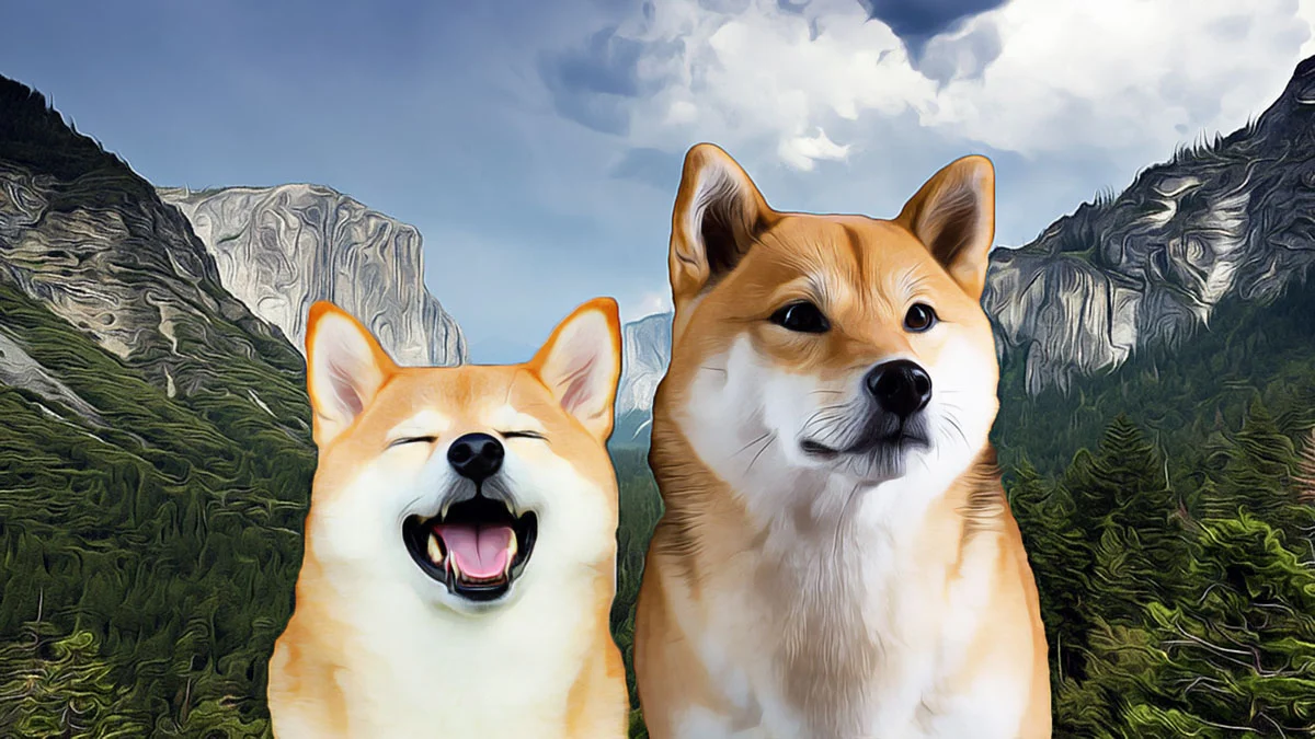 Shiba Inu Market Trends: A Shift in Momentum
