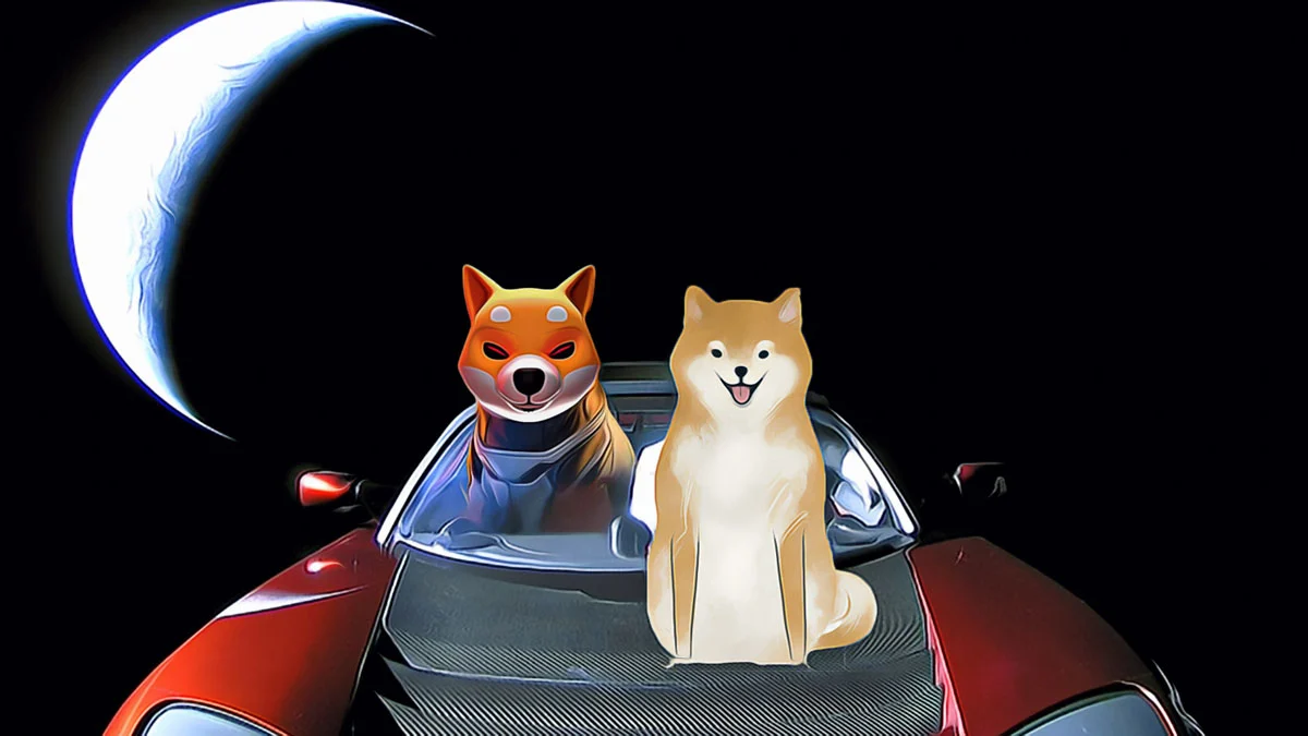 Shiba Inu Faces Mounting Pressure as Exchange Holdings Rise